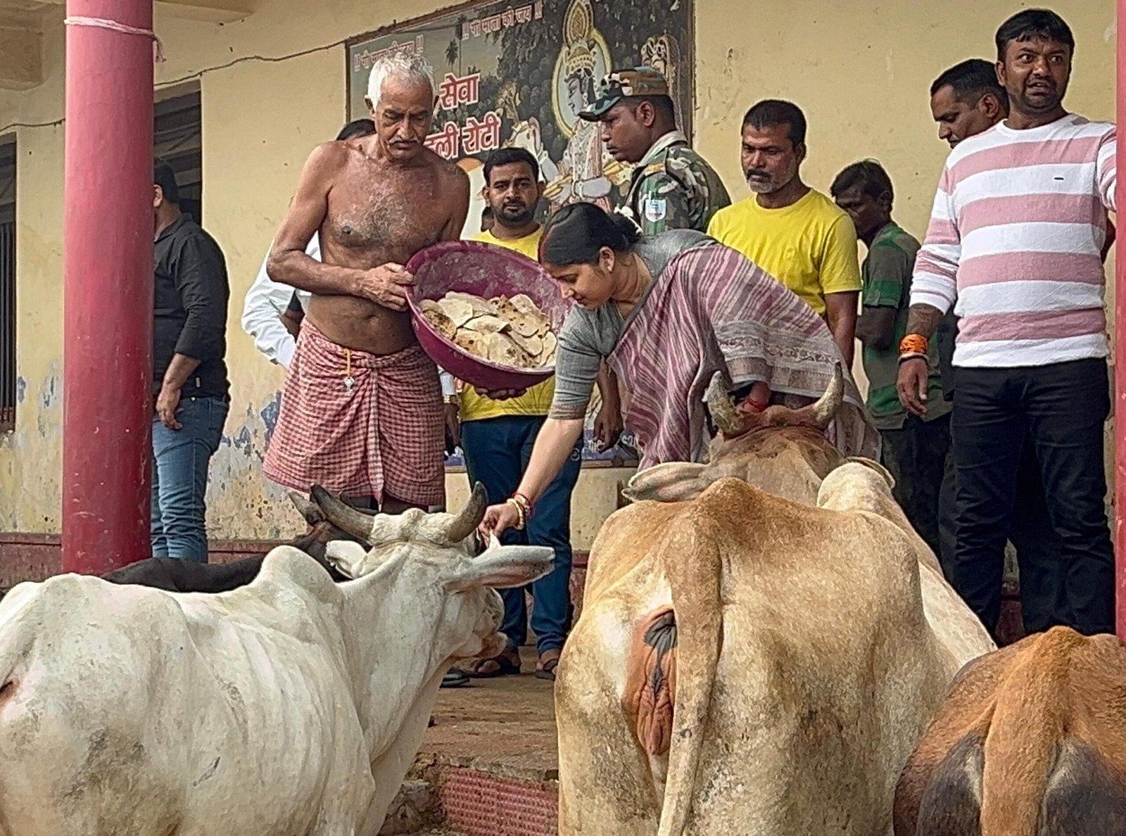 पहली राेटी गाय की, परंपरा जीवित रखने का अभियान चला रही है गाेशाला: रागिनी सिंह…