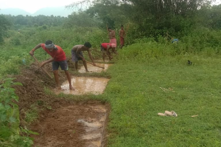 आखिर मजदूरों को कौन देगा मजदूरी? भुगतान किए बिना मस्टर रोल डिलीट, दर-दर भटक रहे मनरेगा मजदूर…