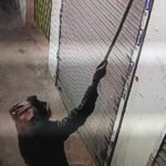 ज्वेलरी दुकान से लाखों की बनी आभूषण चोरों ने उड़ाई….