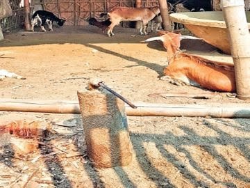 टूटे पाइप, खराब मोटर, लापता नल के जरिए पहुंच रहा हर घर जल…