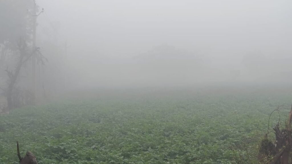 फिरोजाबाद में ठंड का डबल अटैक, कोहरे के साथ शीत लहर ने बढ़ाई लोगों की परेशानी….