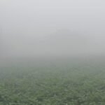 फिरोजाबाद में ठंड का डबल अटैक, कोहरे के साथ शीत लहर ने बढ़ाई लोगों की परेशानी….