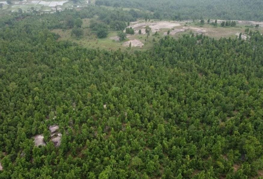 बोकारो में 100 एकड़ वन भूमि की खरीद-बिक्री की जांच करेगी CID, भूमाफियाओं ने ऐसे किया था फर्जीवाड़ा…