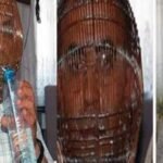 सिगरेट छोड़ने के लिए अपनाया अनोखा तरीका, चेहरे को पिंजरे में किया कैद…