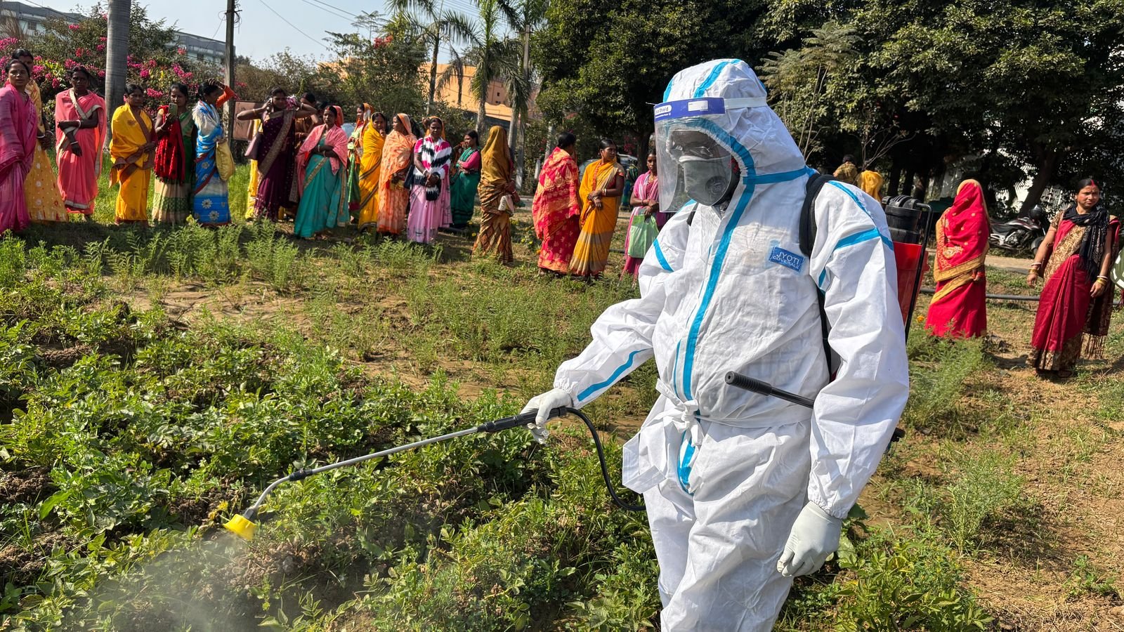 फसल सुरक्षा योजना के अंतर्गत ट्राईकोडर्मा, कार्बेंडाजिम, बोरोन, इमिडाक्लोरोप्रिड, पीएसबी, नीम तेल, फोरमैन ट्रैप, का किया गया वितरण…