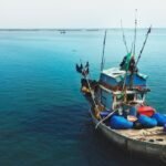 भारत सरकार ने जलवायु परिवर्तन के मद्देनजर नीली अर्थव्यवस्था के खतरे को भांपते हुए मछुआरों के आजीविका के लिए रणनीति बनाई…