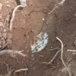 एंटी नक्सल ऑपरेशन में सुरक्षा बलों को मिला 5 किलो का आईईडी बम…