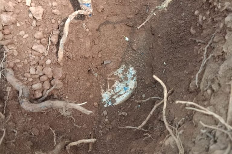 एंटी नक्सल ऑपरेशन में सुरक्षा बलों को मिला 5 किलो का आईईडी बम…