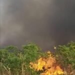 धनबाद के बरवाअड्डा हवाई पट्टी के समीप लगी आग, पाया गया काबू, टली दुर्घटना…