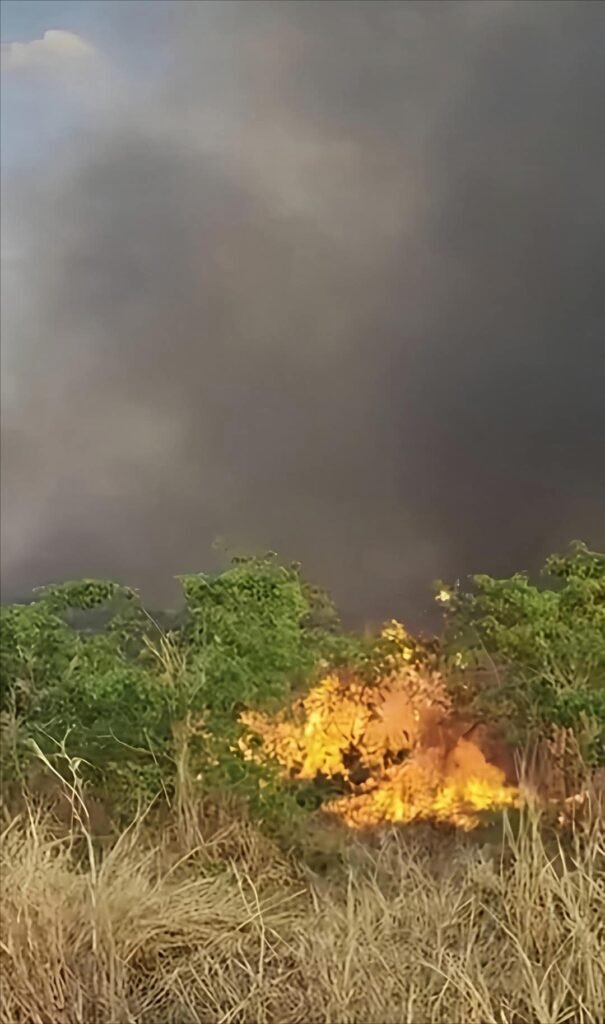 धनबाद के बरवाअड्डा हवाई पट्टी के समीप लगी आग, पाया गया काबू, टली दुर्घटना…