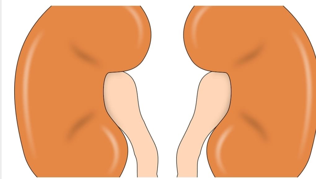 गंदे धंधेबाज : …और इस तरह युवकों को फंसा कर बेच देते थे उनकी किडनी, फिर..