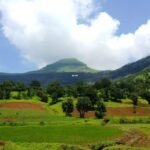 यात्रा : कूर्ग है भारत का स्कॉटलैंड, विदेशी पर्यटक भी आना करते हैं पसंद, यहां घूमने लायक हैं 7 बेहतरीन प्लेसेस, यहां की हरियाली देख हर किसी का घूमने का करता है मन…