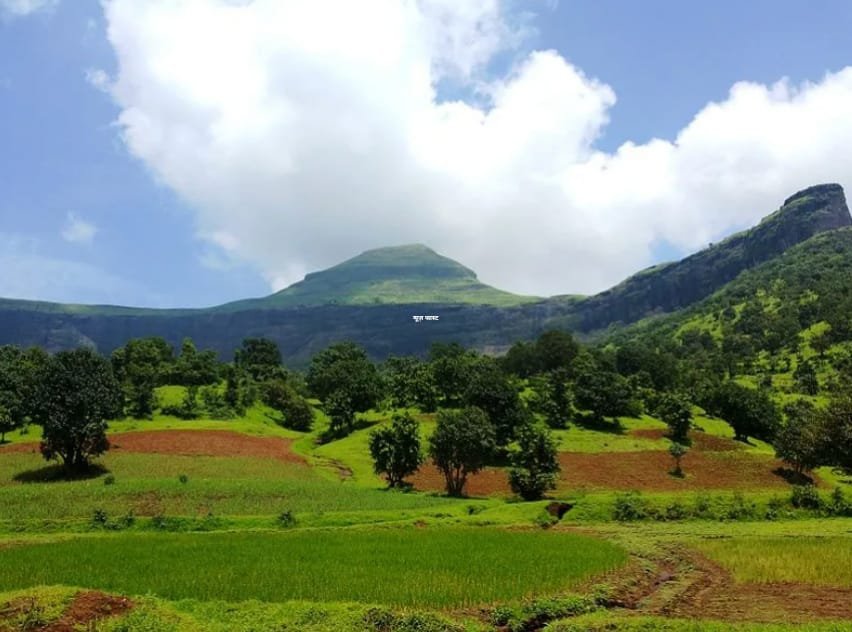 यात्रा : कूर्ग है भारत का स्कॉटलैंड, विदेशी पर्यटक भी आना करते हैं पसंद, यहां घूमने लायक हैं 7 बेहतरीन प्लेसेस, यहां की हरियाली देख हर किसी का घूमने का करता है मन…