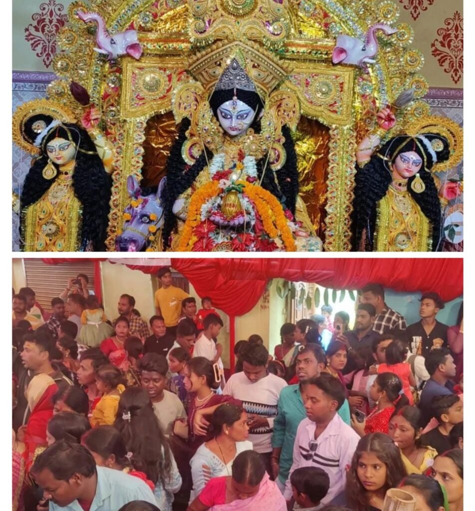 धूमधाम से की गई मां शीतला देवी की पूजा, हजारों की तादाद में जुटे श्रद्धालु…