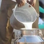 वैश्विक दूध उत्पादन में 25 प्रतिशत योगदान के साथ पहले नंबर पर भारत, 2023-24 में दूध उत्पादन 239.2 मिलियन टन…