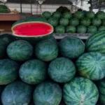 इस रमजान में कश्मीर में 167 करोड़ रुपये के फलों की खपत हुई…