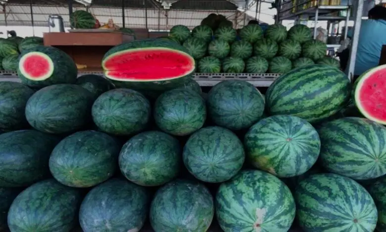 इस रमजान में कश्मीर में 167 करोड़ रुपये के फलों की खपत हुई…