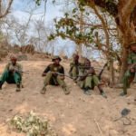 नाइजर में जिहादी संगठन ने एक गांव को बनाया निशाना, हमले में 44 नागरिकों की मौत…