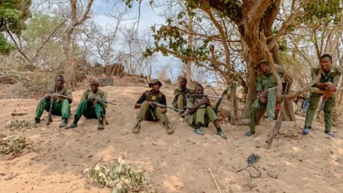 नाइजर में जिहादी संगठन ने एक गांव को बनाया निशाना, हमले में 44 नागरिकों की मौत…