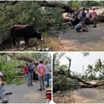 आंधी तूफान से हुए तबाही के बाद फिर से बिजली आपूर्ति बहाल करने हेतु विद्युत विभाग ने युद्ध स्तर पर शुरू किया काम…