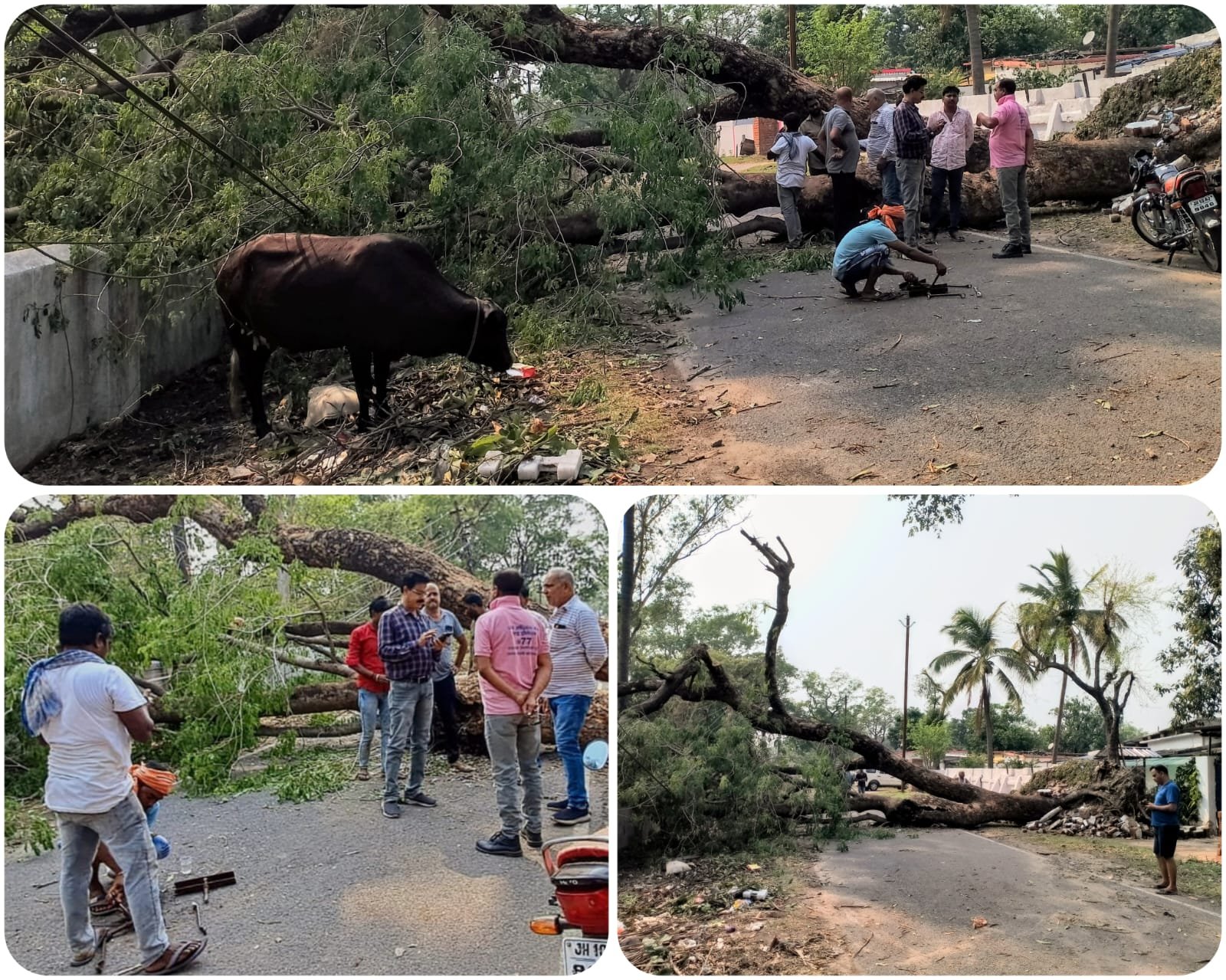 आंधी तूफान से हुए तबाही के बाद फिर से बिजली आपूर्ति बहाल करने हेतु विद्युत विभाग ने युद्ध स्तर पर शुरू किया काम…