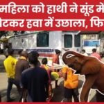 महिला को हाथी ने सूंड में लपेटकर हवा में उछाला, फिर…