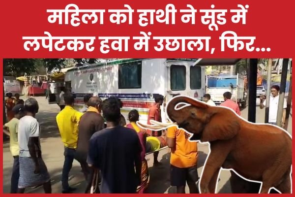 महिला को हाथी ने सूंड में लपेटकर हवा में उछाला, फिर…