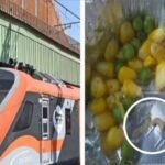 पटना-हावड़ा वंदे भारत में यात्री को नाश्ते में परोस दिया कीड़ा, मचा हड़ंकप, बड़ी लापरवाही आई सामने…