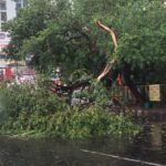 बिहार में मौसम का डबल अटैक: एक तरफ लू! दूसरी ओर आंधी-तूफान का कहर…