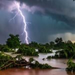 झारखंड के बोकारो में वज्रपात का कहर, चरवाहा और 7 साल की बच्ची की मौत, 4 मवेशियों ने भी तोड़ा दम…