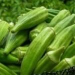 भिंडी के साथ कभी न खाएं ये 5 चीजें, नहीं तो बॉडी पर ज़हर की तरह होगा असर, खतरनाक बीमारियों के हो जाएंगे शिकार…