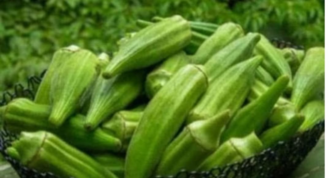 भिंडी के साथ कभी न खाएं ये 5 चीजें, नहीं तो बॉडी पर ज़हर की तरह होगा असर, खतरनाक बीमारियों के हो जाएंगे शिकार…