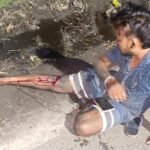 सड़क हादसे में तीन बाइक सवार युवक घायल, एक की हालत गंभीर…