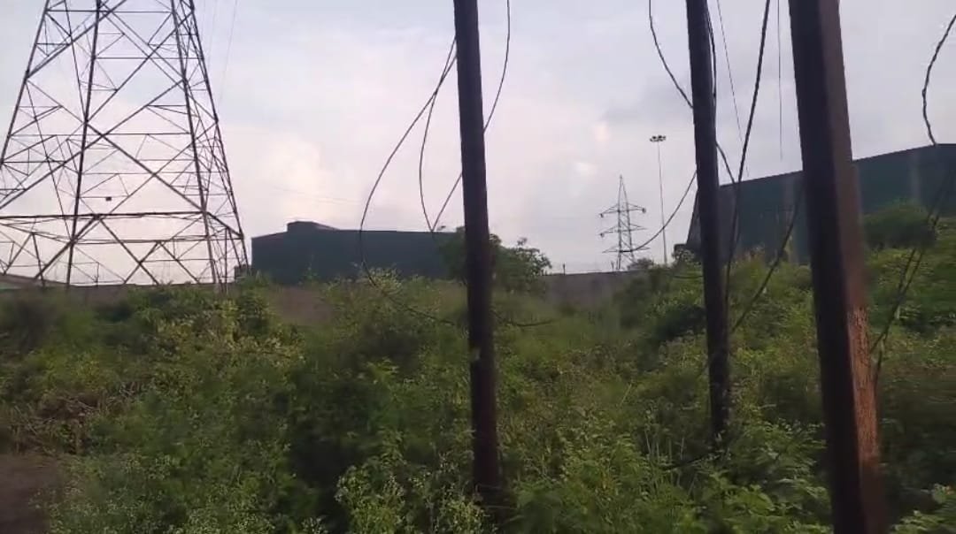 विधुत की चपेट मे आने से मैथन के कल्यानेश्वरी मे चार पशुओं की मौत…