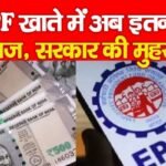 PF खाते में अब इतना ब्याज, सरकार की मुहर…