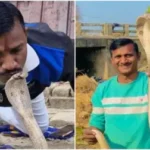 बिहार में ‘सांपों के मसीहा’ को सांप ने डसा, रेस्क्यू मिशन बना आखिरी सफर…