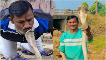 बिहार में ‘सांपों के मसीहा’ को सांप ने डसा, रेस्क्यू मिशन बना आखिरी सफर…