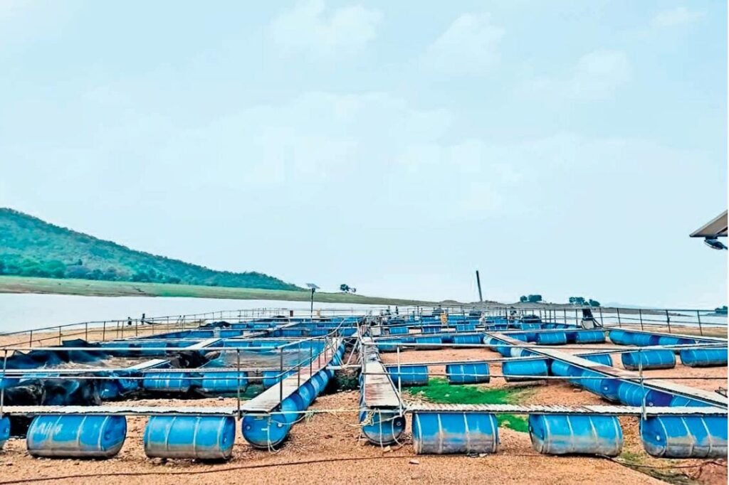 मछली पालन की आधुनिक तकनीक से बदल रही निरसा के गांवों की तस्वीर, आत्मनिर्भरता की ओर बढ़ रहे कदम…