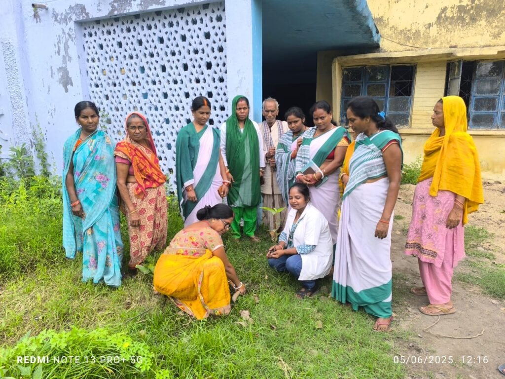 विश्व पर्यावरण दिवस के मौके पर स्वास्थ्य विभाग के सीएचओ एवं सहिया साथी ने किया पौधा रोपण…