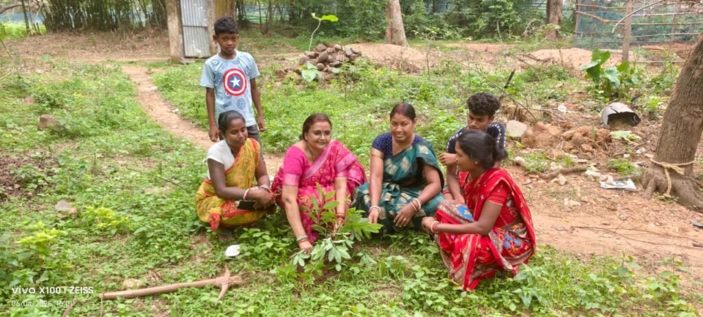विश्व पर्यावरण दिवस पर भाजपा नेत्री बबीता झा ने किया पौधारोपण….