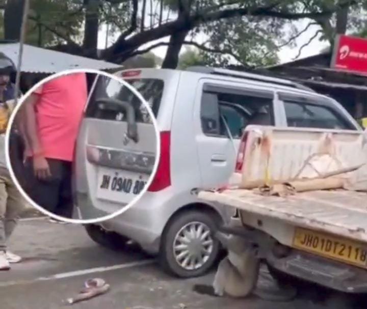 बोकारो में बंदर की बेरहमी से पिटाई: वन विभाग की कार्रवाई पर सवाल…