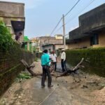 बिजली के तार पर से हटायी पेड़ की डाली…