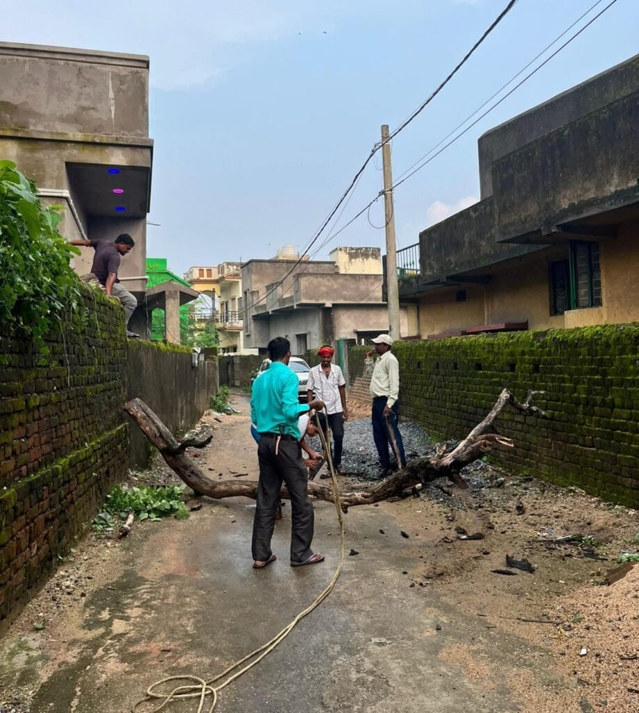 बिजली के तार पर से हटायी पेड़ की डाली…