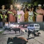 सिंदरी में मवेशियों, गायों को सड़क दुघर्टना से बचाव के लिए पहनाया गया रिफ्लेक्टिव बेल्ट…