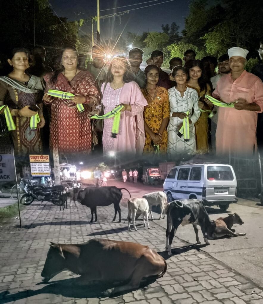 सिंदरी में मवेशियों, गायों को सड़क दुघर्टना से बचाव के लिए पहनाया गया रिफ्लेक्टिव बेल्ट…