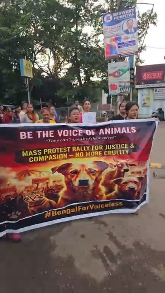 बर्णपुर मे पदयात्रा कर पशु प्रेमियों ने आवारा कुत्तों के ऊपर हो रहे अत्याचार के खिलाफ जताया विरोध प्रदर्शन…