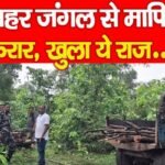 भगहर जंगल से माफिया फरार, खुला ये राज…