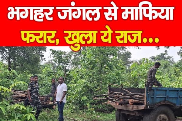 भगहर जंगल से माफिया फरार, खुला ये राज…