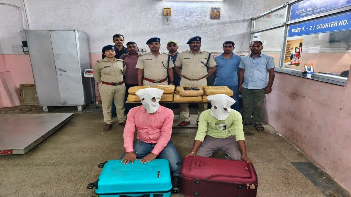 हटिया रेलवे स्टेशन पर आरपीएफ की दो बड़ी कार्रवाई, 30 किलो गांजा जब्त, मानव तस्करी का प्रयास विफल…