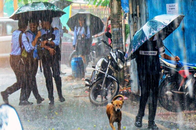 झारखंड में सक्रिय हुआ मानसून, झमाझम बारिश के बावजूद रांची में बढ़ा तापमान, IMD के 2-2 येलो अलर्ट जारी…